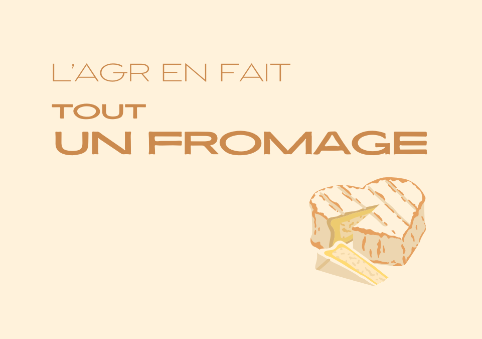 site-internet-tout-un-fromage